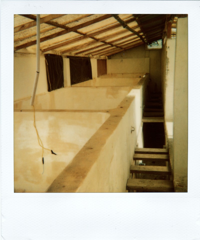 Hartmut Landauer, Polaroid, Fotografie, photography