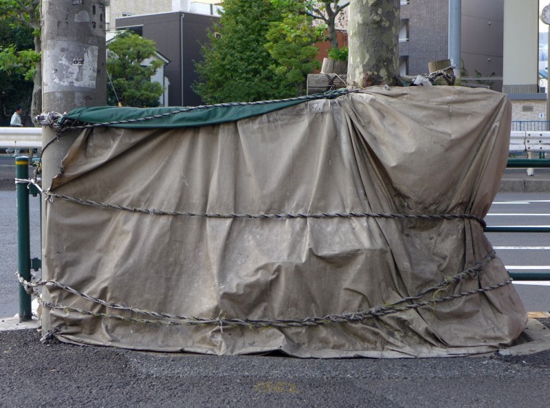 Tokyo,Tokyomorphosis,photography,Fotografie,Hartmut Landauer