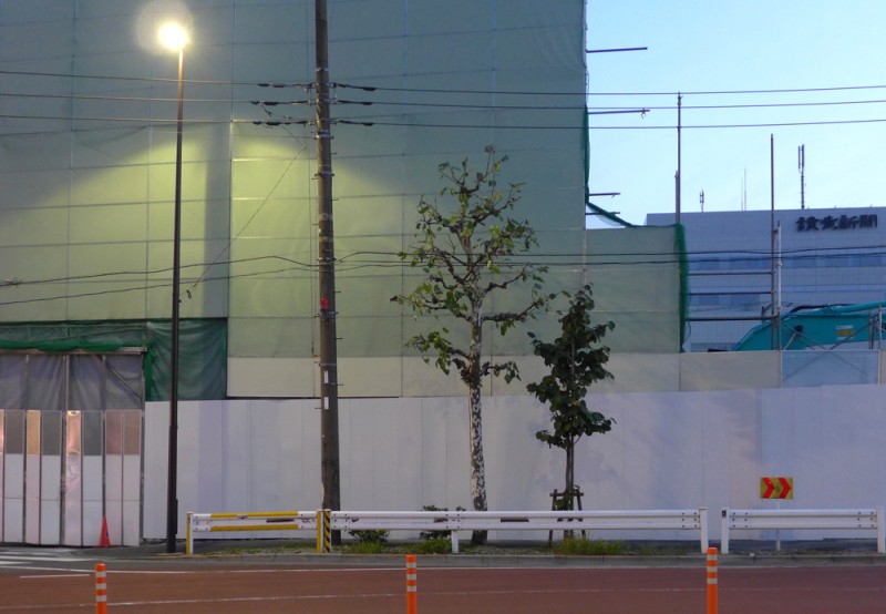 Hartmut Landauer, Tokyo, Tokio, photography 2015, Fotografie