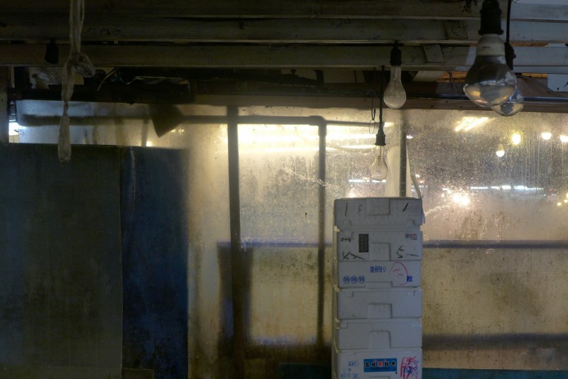 Hartmut Landauer, >tokyomorphosis<, photography series, Tokyo, Tskuji, 2015